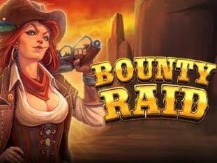Bounty Raid game icon